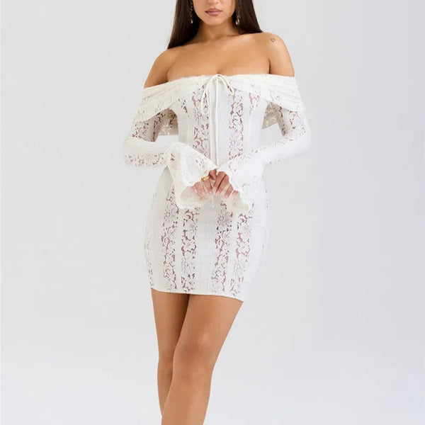 Glam Lace Party Dress